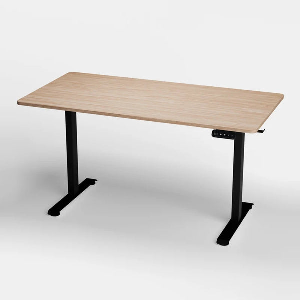 Sit/Stand Desk